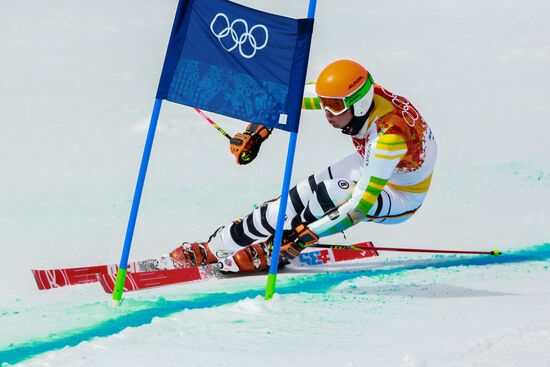 2014 Winter Olympics. Alpine skiing. Men. Giant slalom