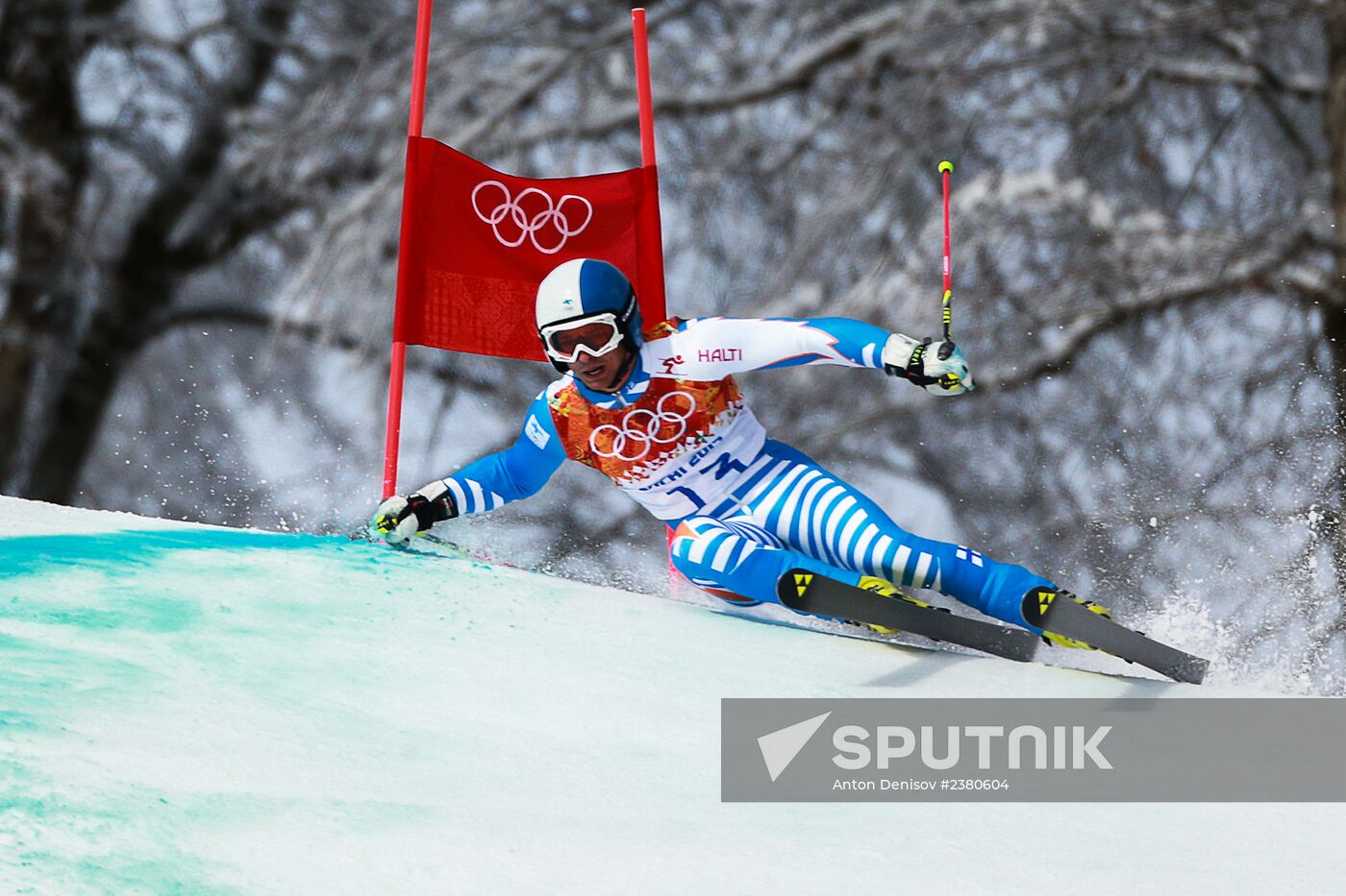 2014 Winter Olympics. Alpine skiing. Men. Giant slalom