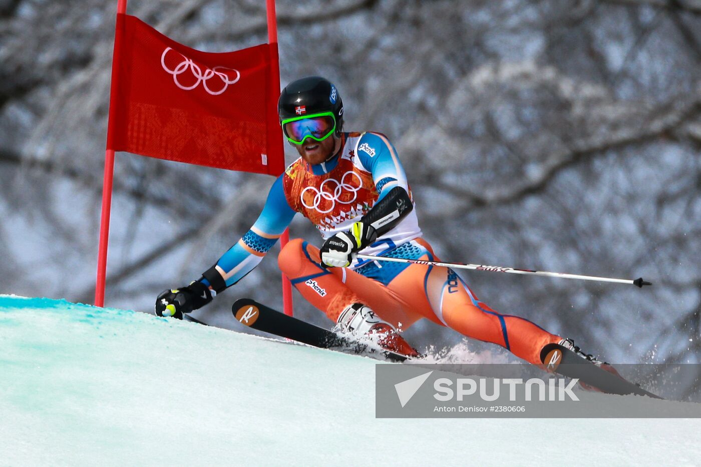 2014 Winter Olympics. Alpine skiing. Men. Giant slalom