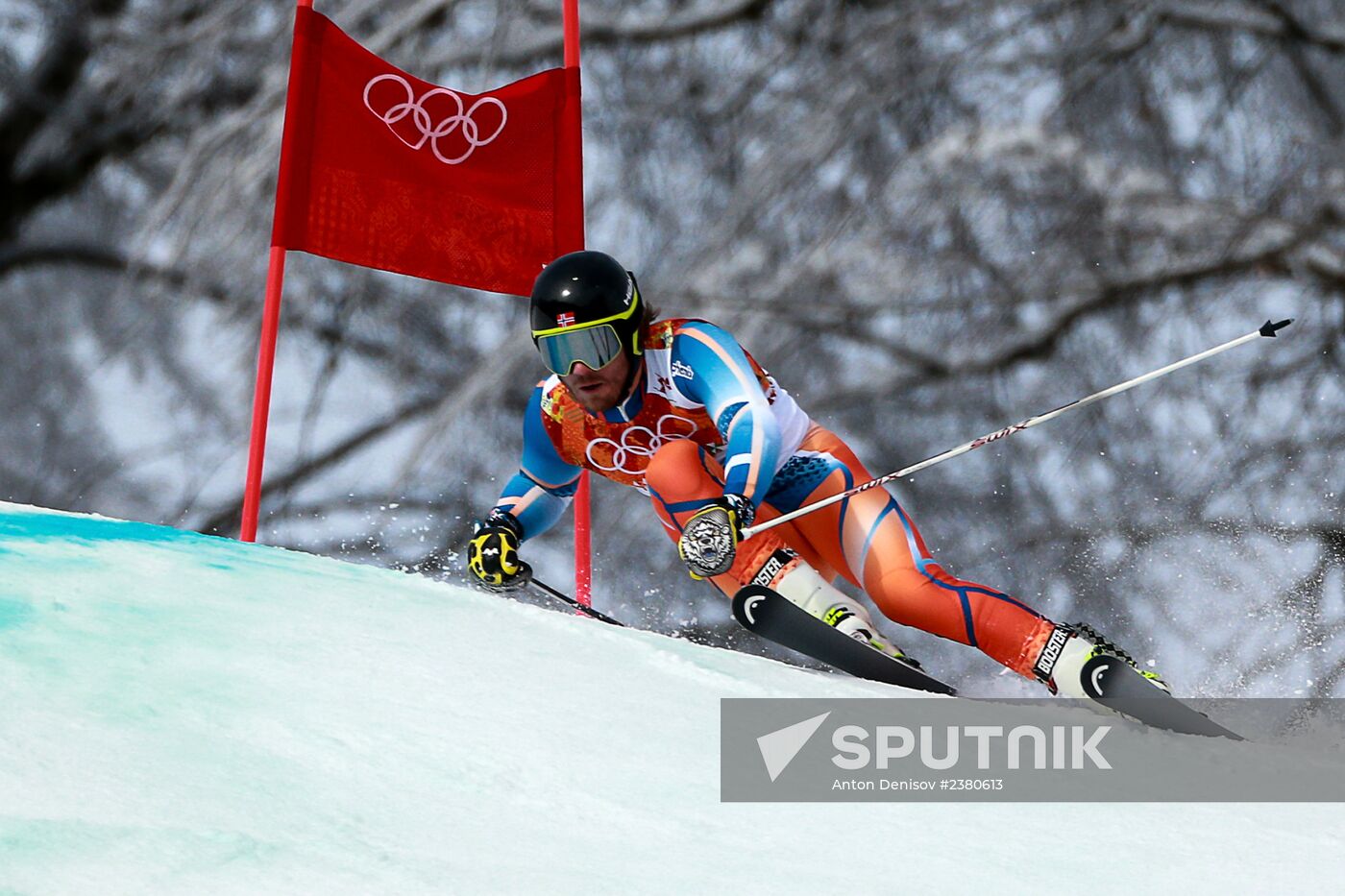 2014 Winter Olympics. Alpine skiing. Men. Giant slalom