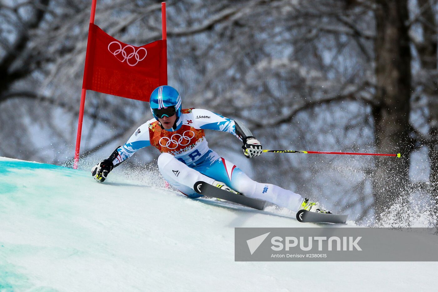 2014 Winter Olympics. Alpine skiing. Men. Giant slalom