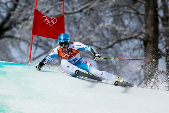 2014 Winter Olympics. Alpine skiing. Men. Giant slalom