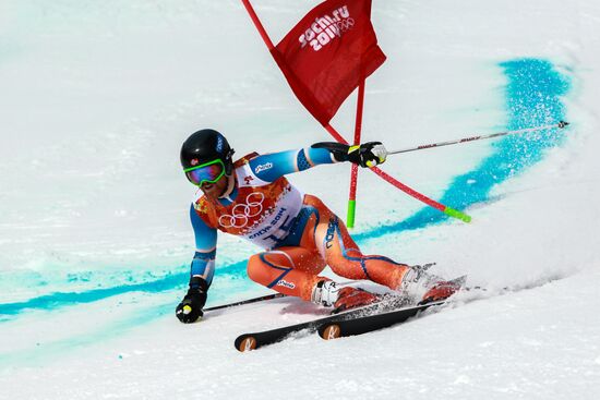 2014 Winter Olympics. Alpine skiing. Men. Giant slalom