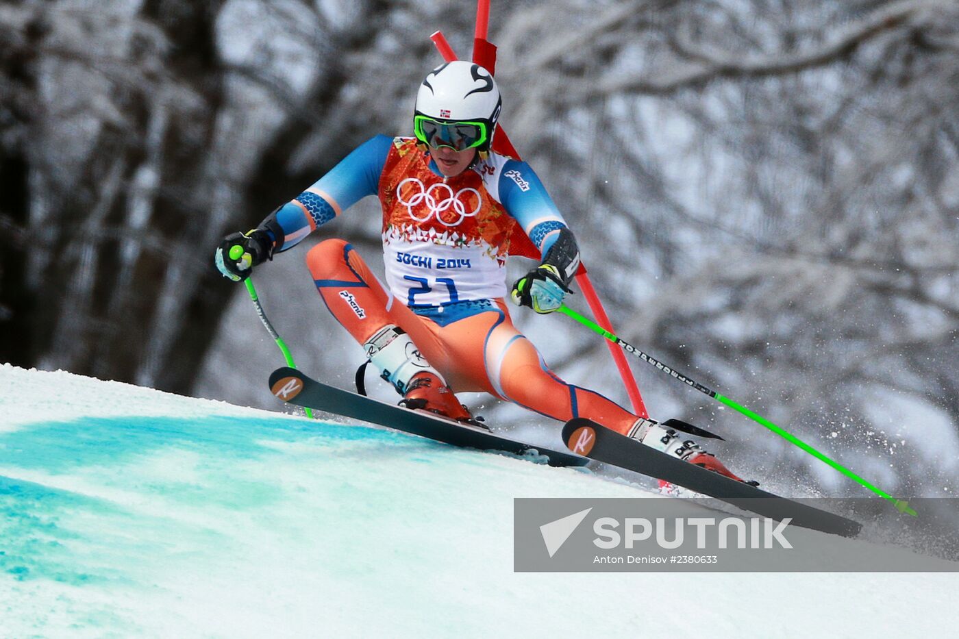 2014 Winter Olympics. Alpine skiing. Men. Giant slalom