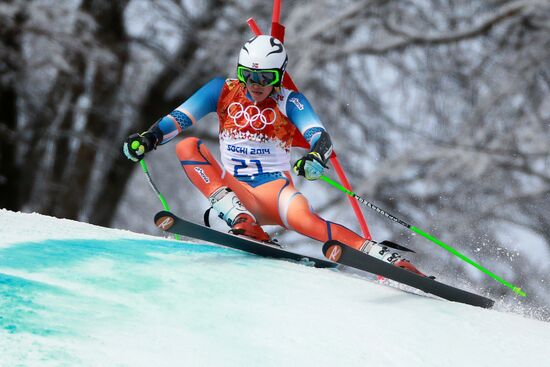 2014 Winter Olympics. Alpine skiing. Men. Giant slalom
