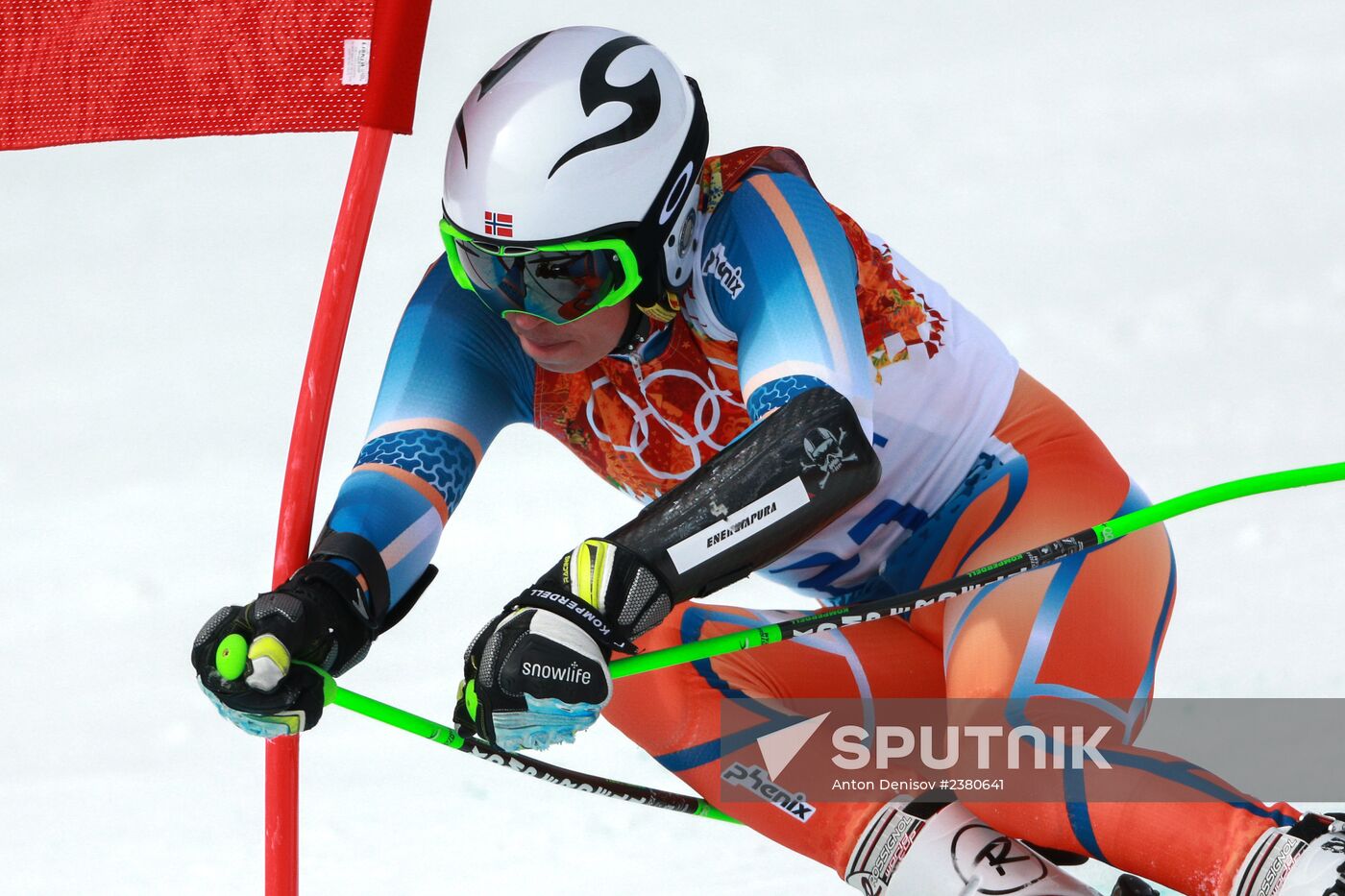2014 Winter Olympics. Alpine skiing. Men. Giant slalom