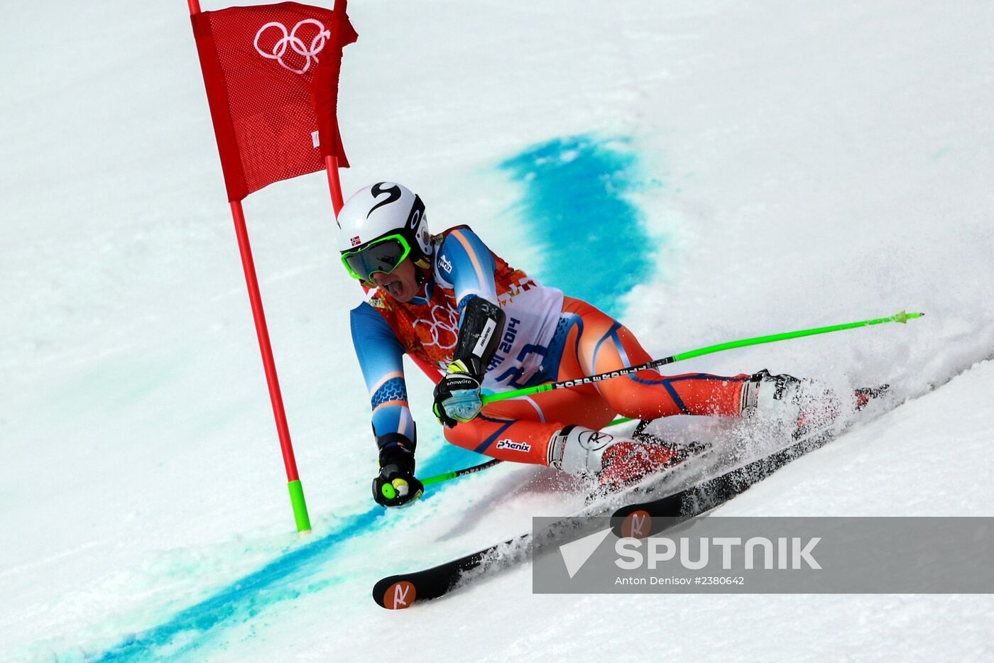 2014 Winter Olympics. Alpine skiing. Men. Giant slalom