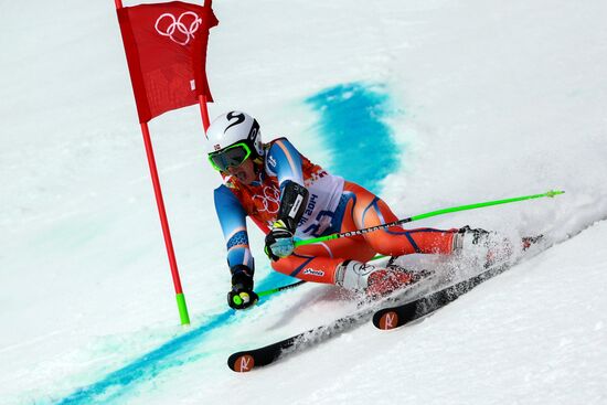 2014 Winter Olympics. Alpine skiing. Men. Giant slalom