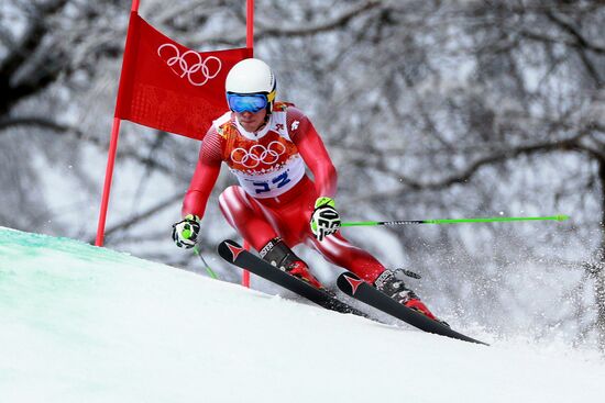 2014 Winter Olympics. Alpine skiing. Men. Giant slalom