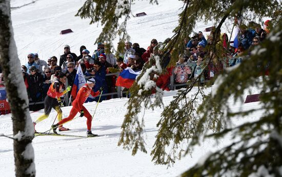 2014 Winter Olympics. Cross-country skiing. Men. Team sprint