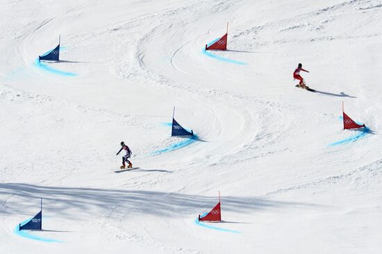 2014 Winter Olympics. Snowboarding. Men. Parallel giant slalom. Quarter-finals