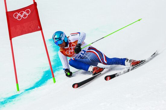 2014 Winter Olympics. Alpine skiing. Men. Giant slalom