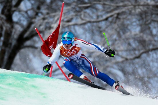 2014 Winter Olympics. Alpine skiing. Men. Giant slalom