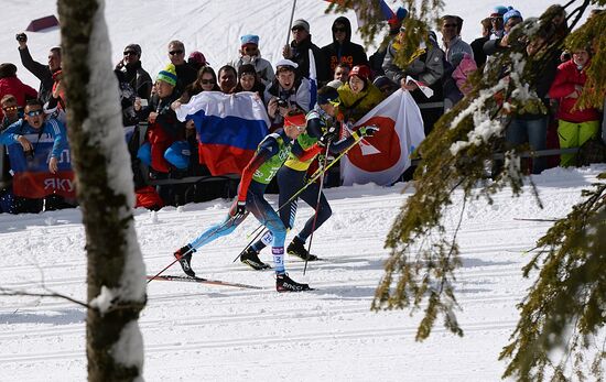 2014 Winter Olympics. Cross-country skiing. Men. Team sprint