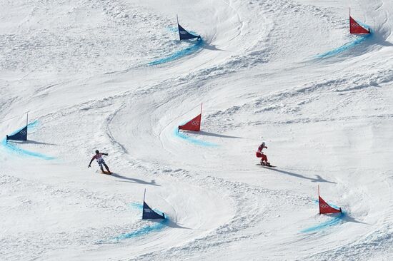 2014 Winter Olympics. Snowboarding. Men. Parallel giant slalom. Finals