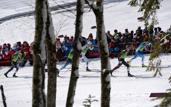 2014 Winter Olympics. Cross-country skiing. Men. Team sprint