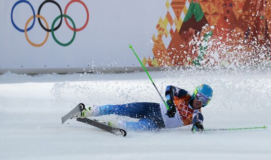 2014 Winter Olympics. Alpine skiing. Men. Giant slalom