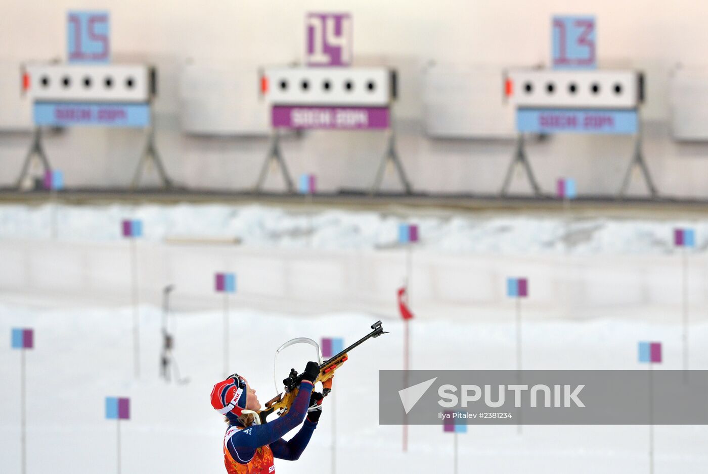 2014 Winter Olympics. Biathlon. Mixed relay