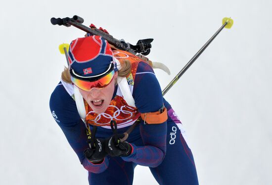 2014 Winter Olympics. Biathlon. Mixed relay