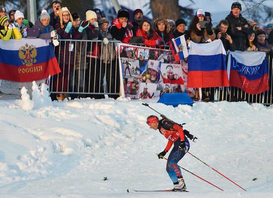 2014 Winter Olympics. Biathlon. Mixed relay