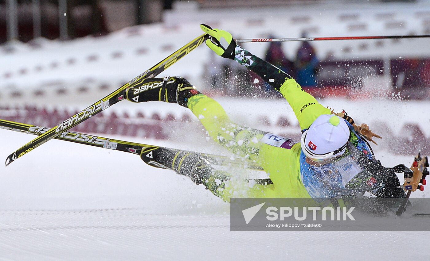 2014 Winter Olympics. Biathlon. Mixed relay