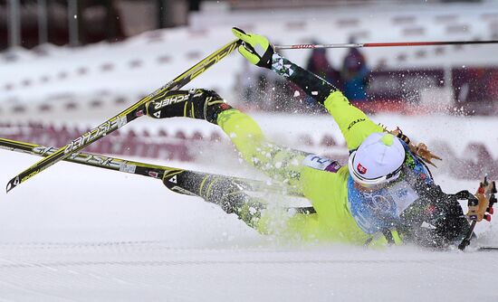 2014 Winter Olympics. Biathlon. Mixed relay