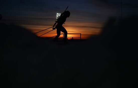 2014 Winter Olympics. Biathlon. Mixed relay