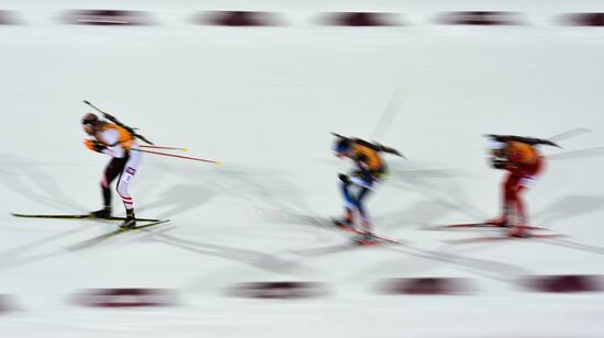 2014 Winter Olympics. Biathlon. Mixed relay