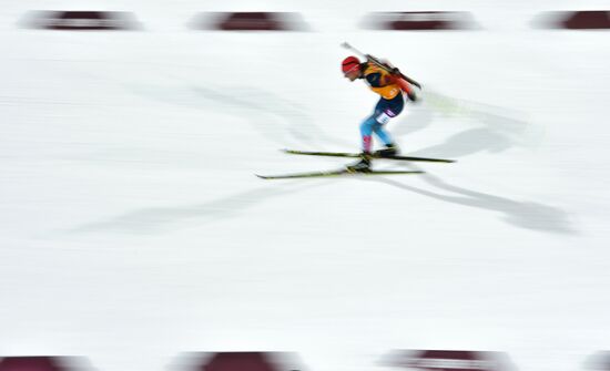 2014 Winter Olympics. Biathlon. Mixed relay