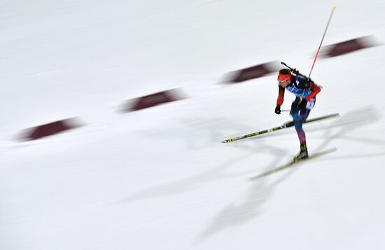 2014 Winter Olympics. Biathlon. Mixed relay