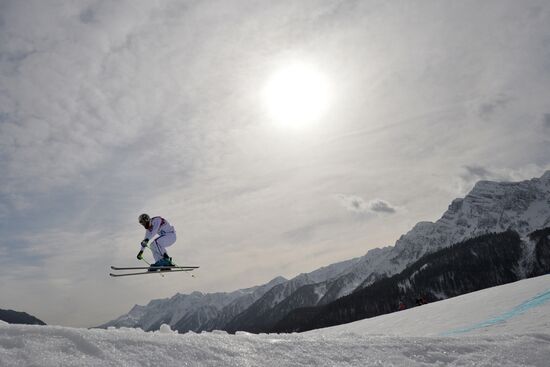 2014 Winter Olympics. Freestyle skiing. Men. Ski cross