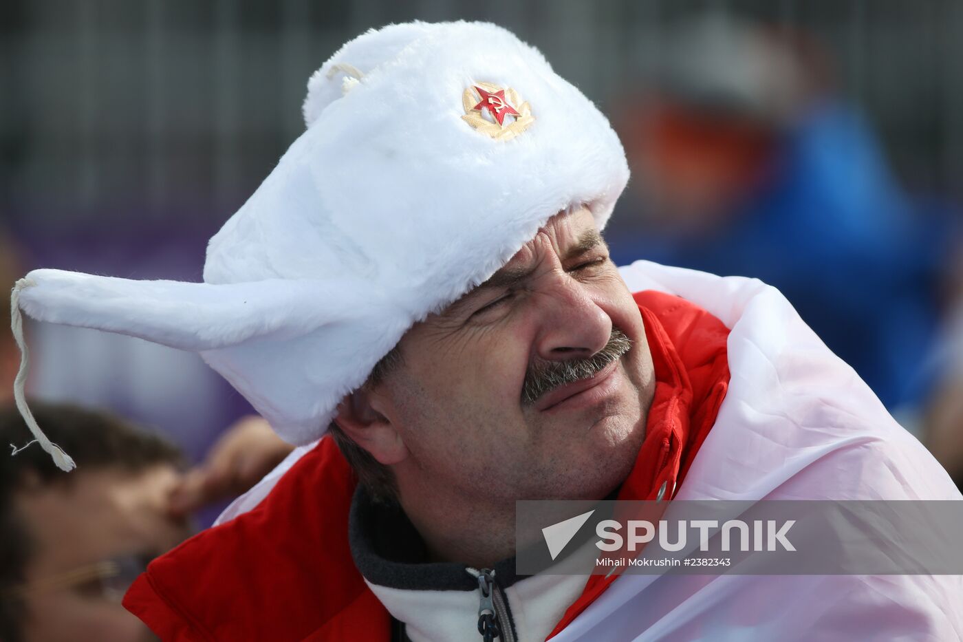 2014 Winter Olympics. Freestyle skiing. Men. Ski cross