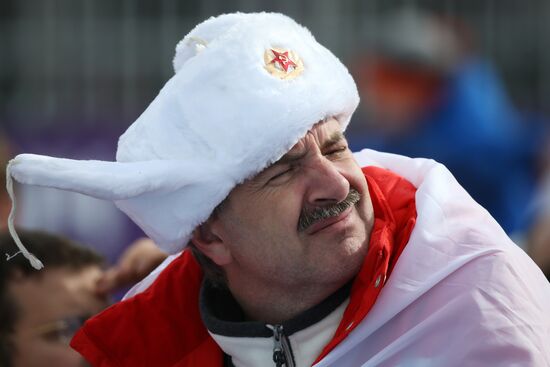 2014 Winter Olympics. Freestyle skiing. Men. Ski cross