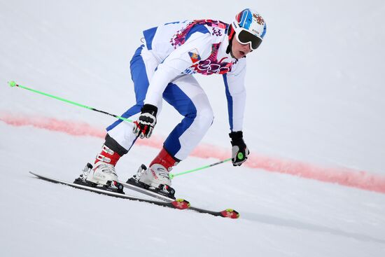 2014 Winter Olympics. Freestyle skiing. Men. Ski cross