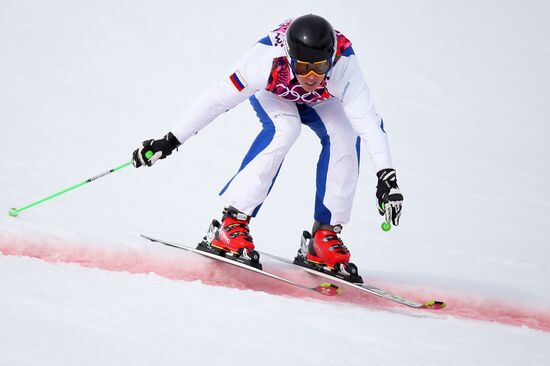 2014 Winter Olympics. Freestyle skiing. Men. Ski cross