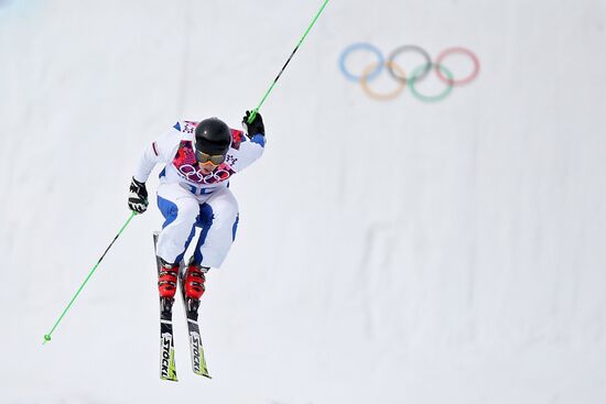 2014 Winter Olympics. Freestyle skiing. Men. Ski cross