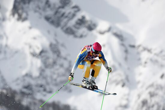 2014 Winter Olympics. Freestyle skiing. Men. Ski cross
