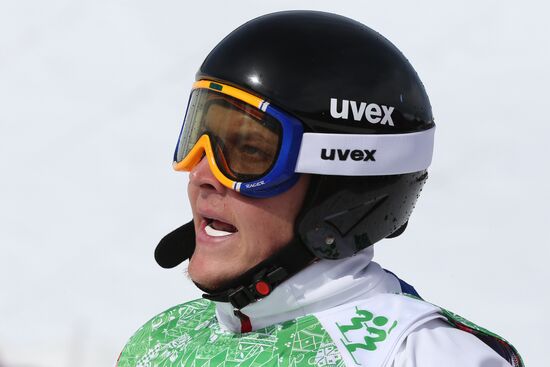 2014 Winter Olympics. Freestyle skiing. Men. Ski cross