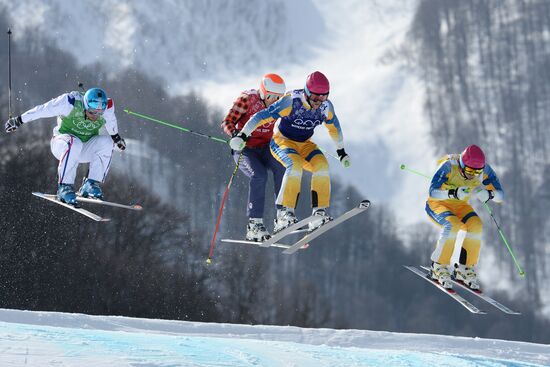 2014 Winter Olympics. Freestyle skiing. Men. Ski cross
