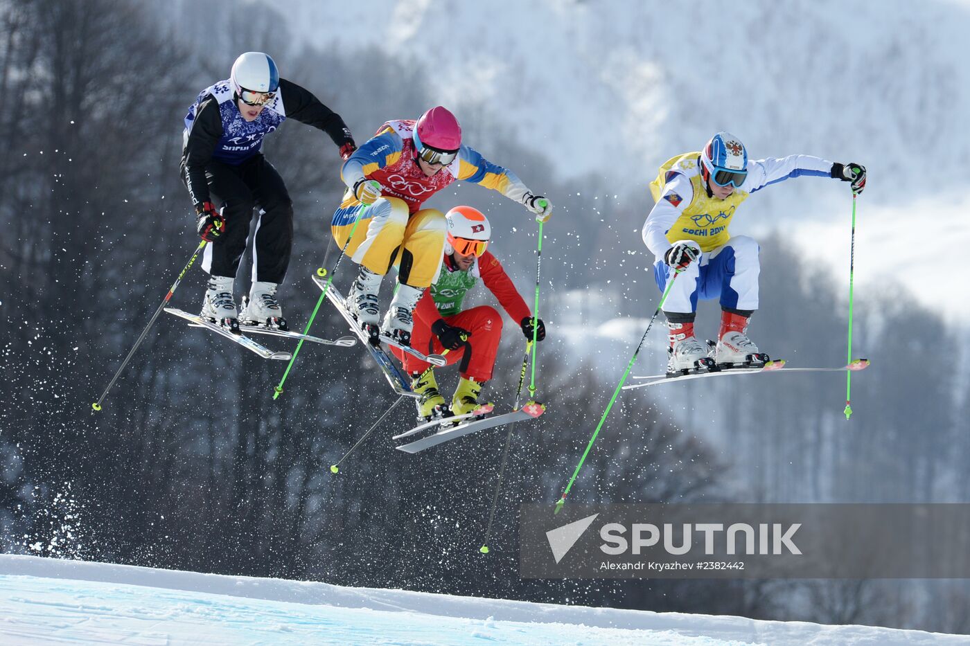 2014 Winter Olympics. Freestyle skiing. Men. Ski cross