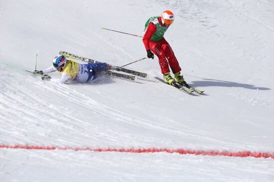 2014 Winter Olympics. Freestyle skiing. Men. Ski cross