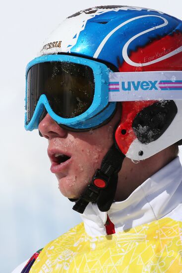 2014 Winter Olympics. Freestyle skiing. Men. Ski cross