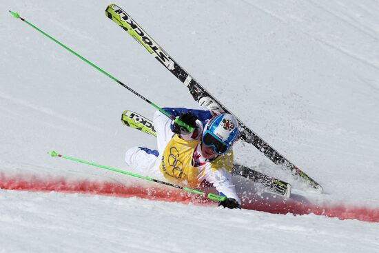 2014 Winter Olympics. Freestyle skiing. Men. Ski cross