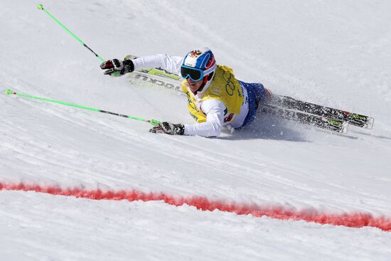 2014 Winter Olympics. Freestyle skiing. Men. Ski cross