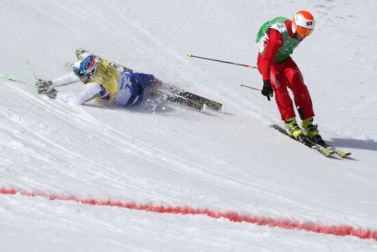 2014 Winter Olympics. Freestyle skiing. Men. Ski cross
