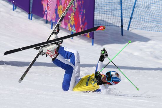 2014 Winter Olympics. Freestyle skiing. Men. Ski cross