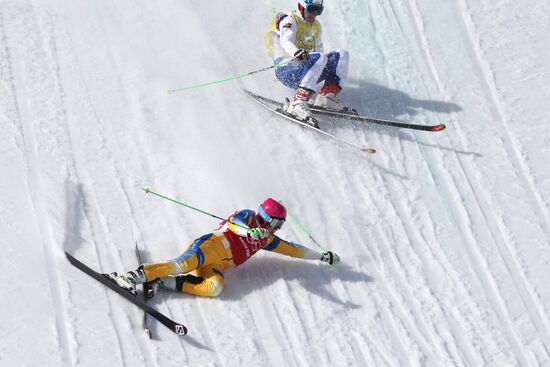 2014 Winter Olympics. Freestyle skiing. Men. Ski cross