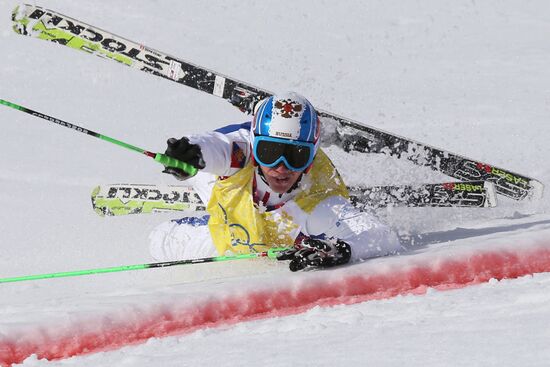 2014 Winter Olympics. Freestyle skiing. Men. Ski cross