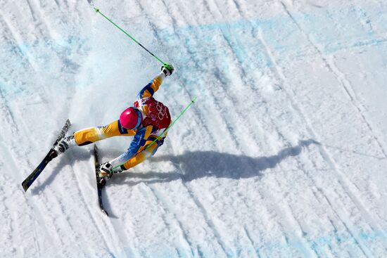 2014 Winter Olympics. Freestyle skiing. Men. Ski cross