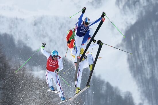 2014 Winter Olympics. Freestyle skiing. Men. Ski cross